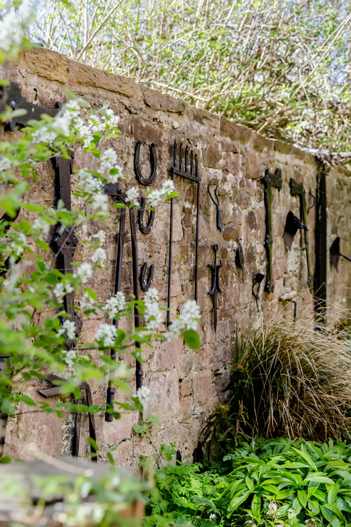 jardin maison ancienne