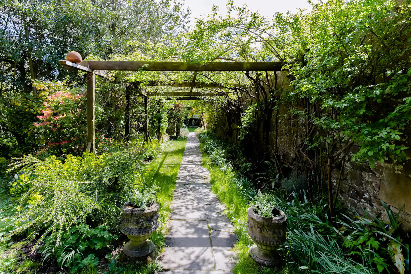 jardin avec treillis