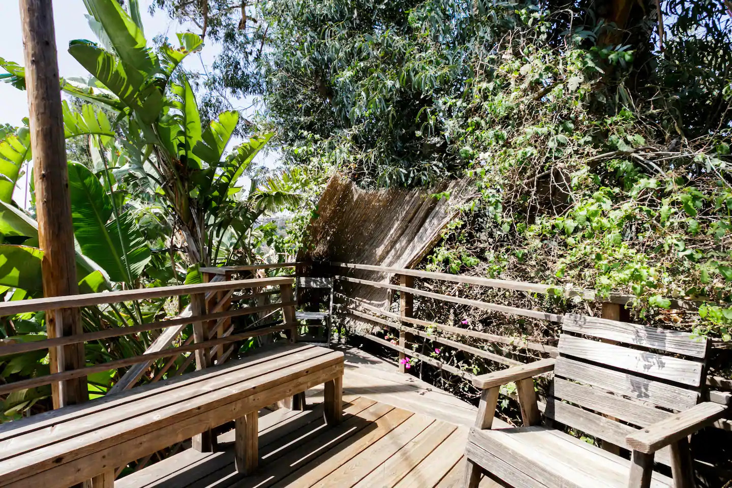 terrasse en bois