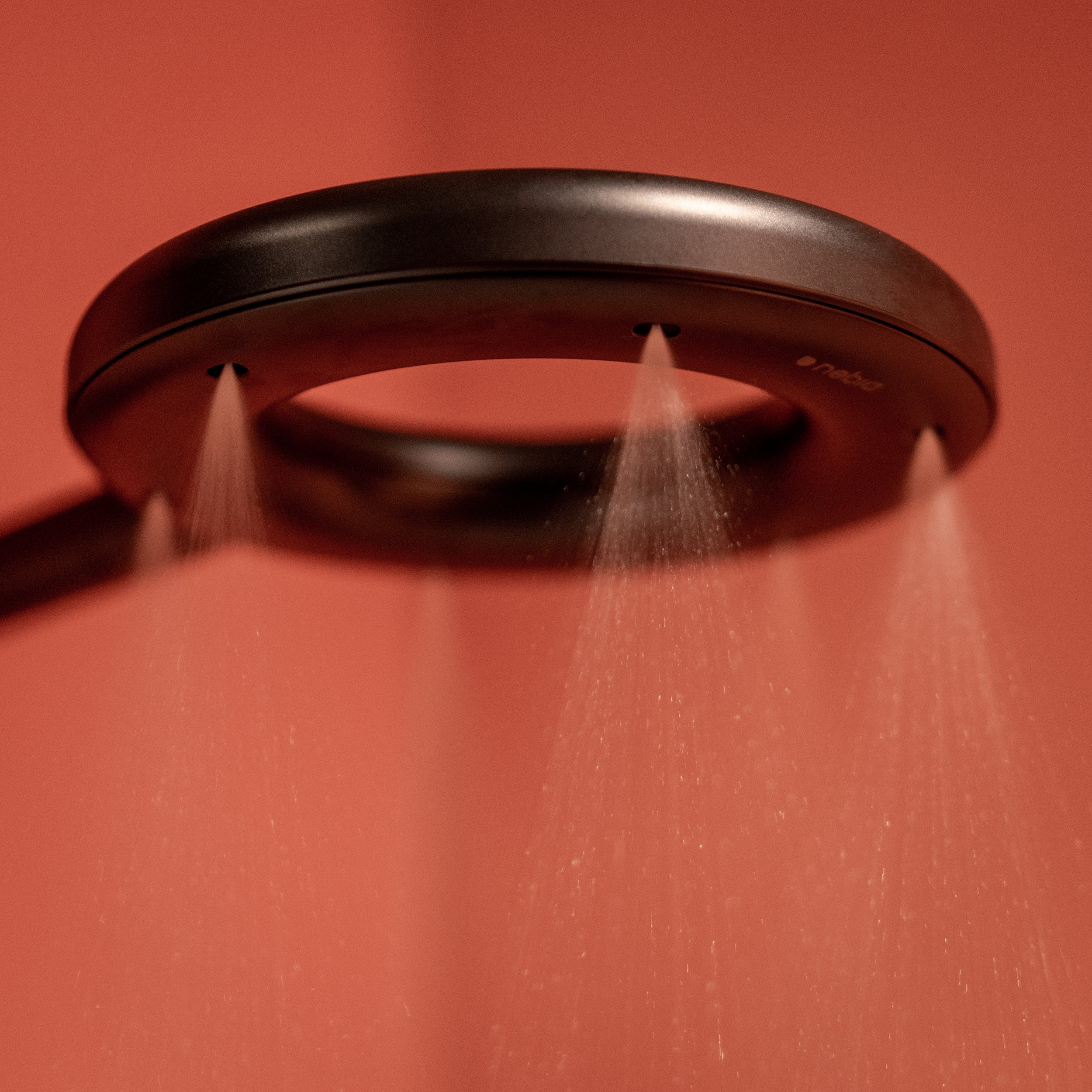 pommeau de douche noir design