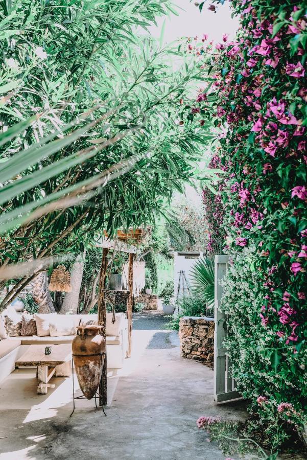 jardin avec bougainvillée jardin avec bougainvillée