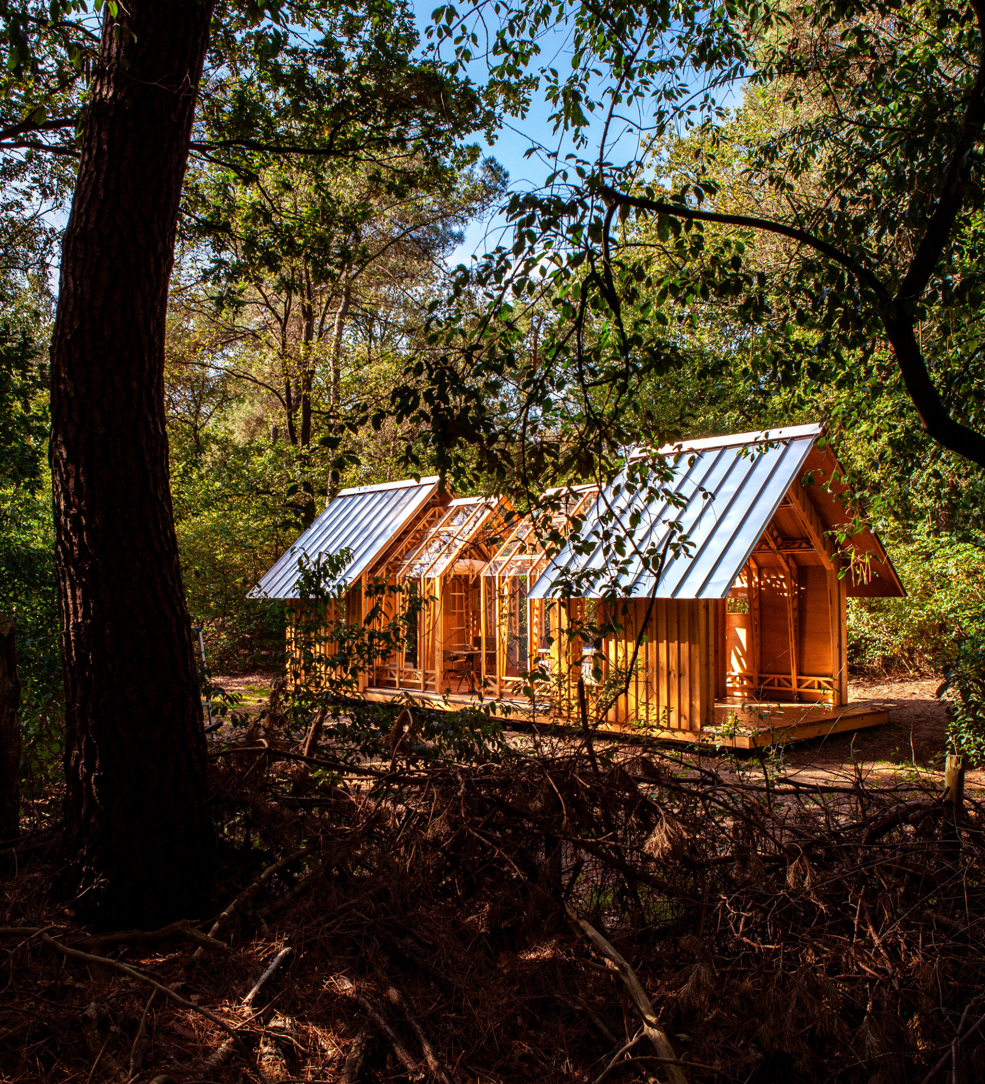 façade maison en bois 