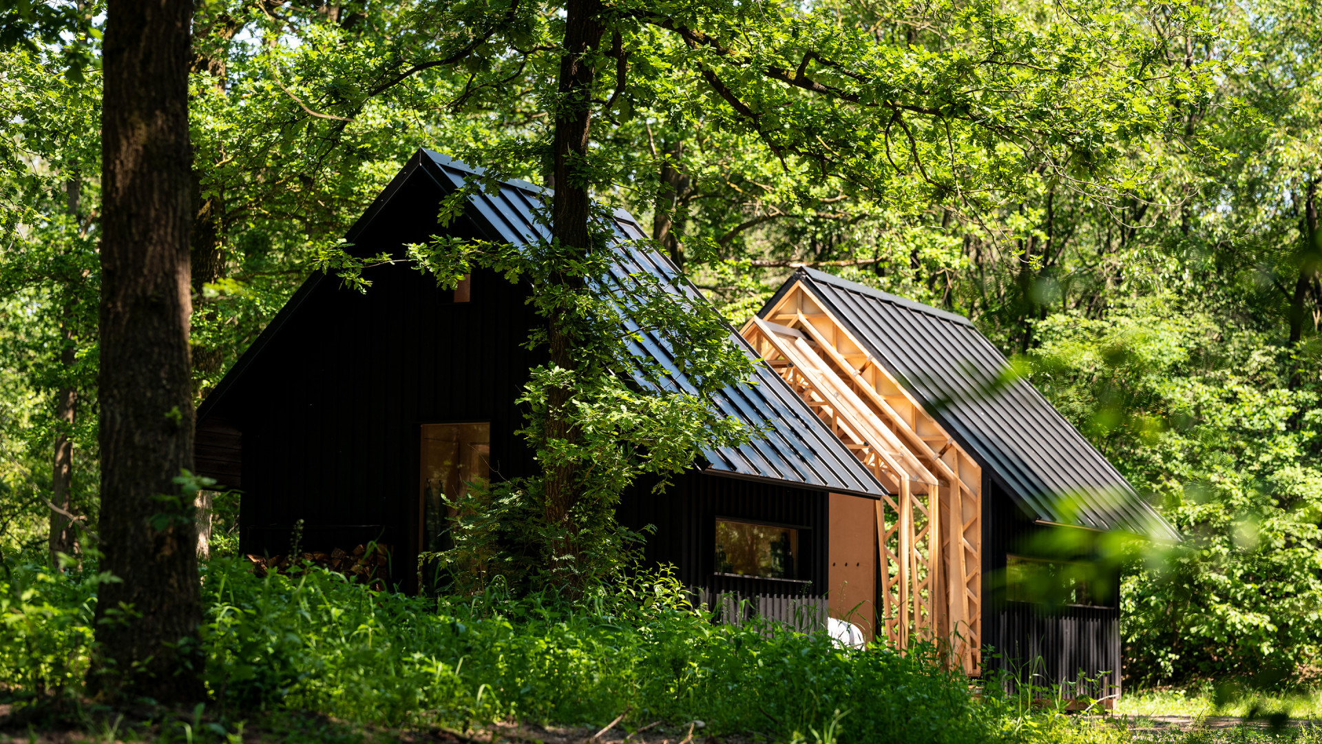 façade maison en bois 