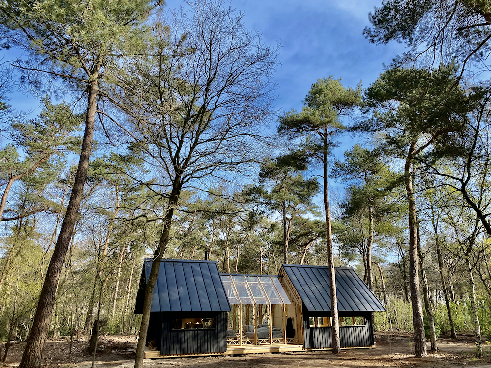 façade maison en bois 