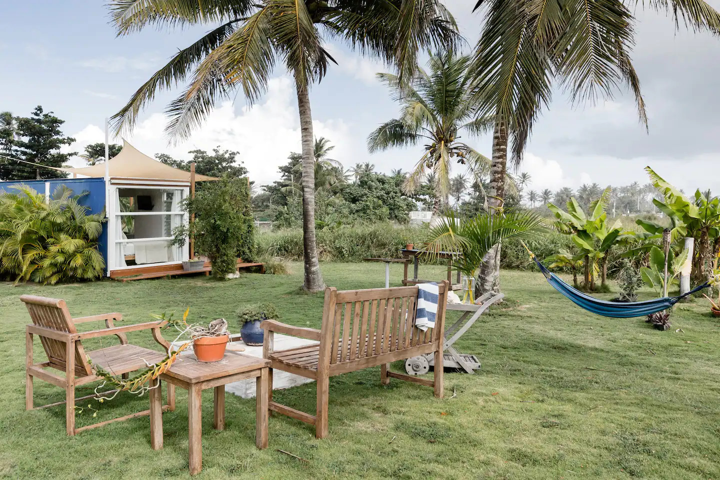 jardin avec palmiers