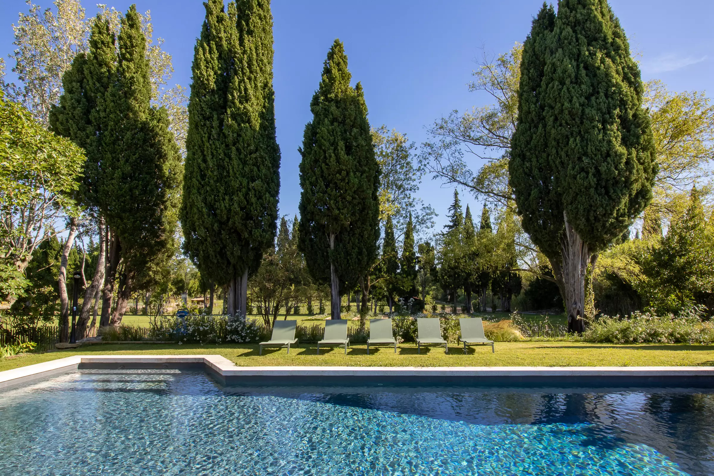piscine et cyprès Provence piscine et cyprès Provence