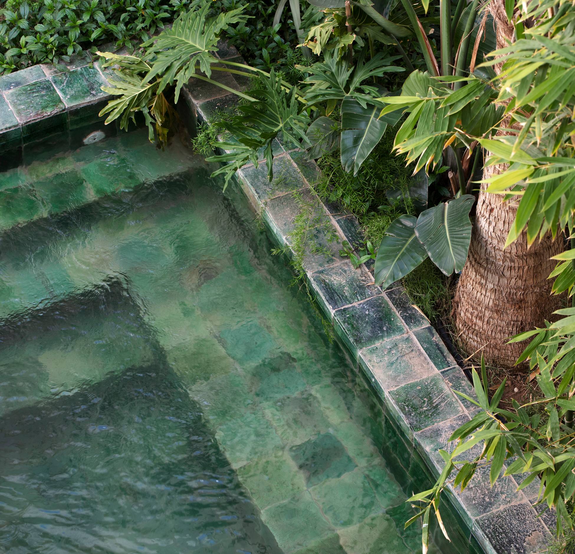 bassin riad bassin riad