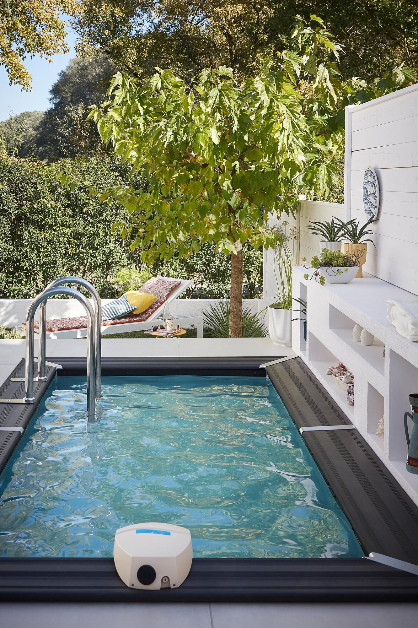 petit jardin avec mini piscine