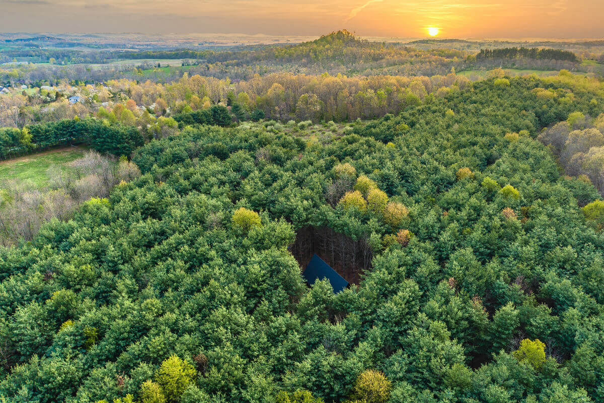 maison en bois cachée dans une clairière