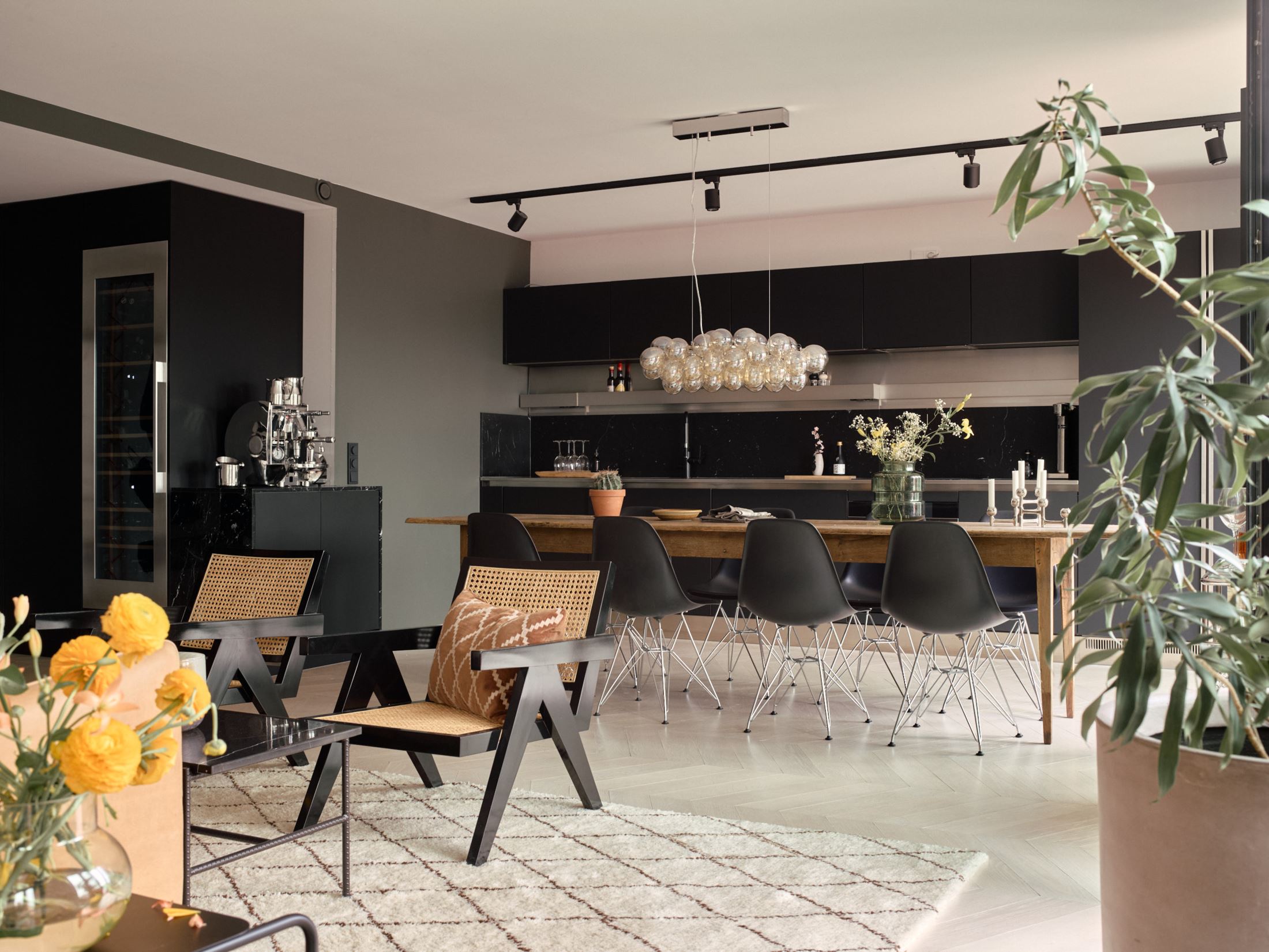 salon et salle à manger avec cuisine ouverte