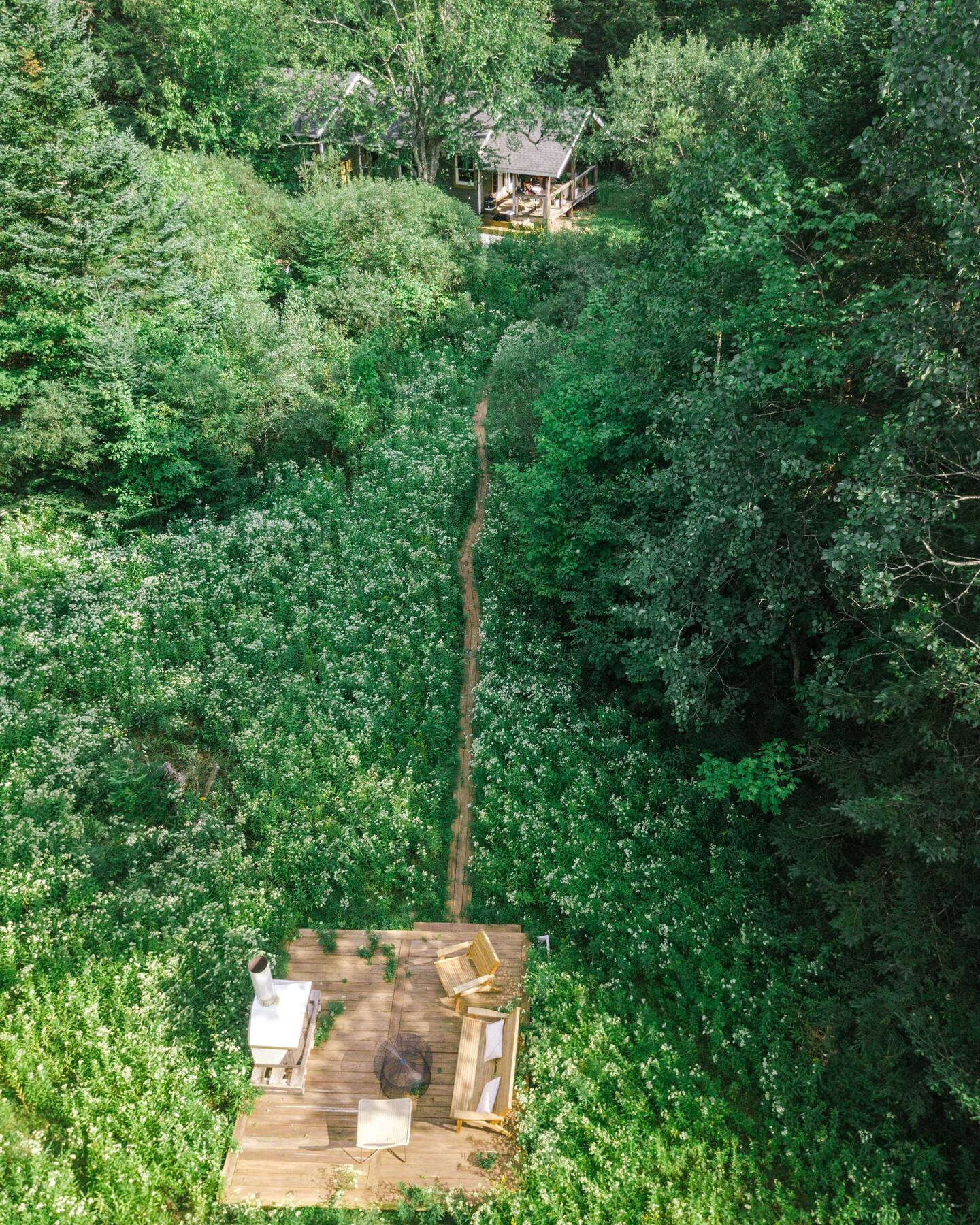 terrasse en bois