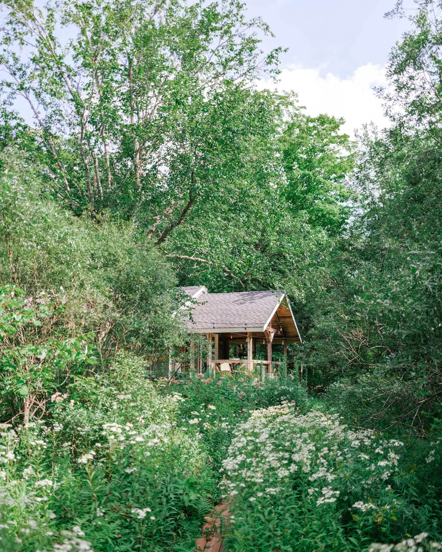 façade cabane en bois