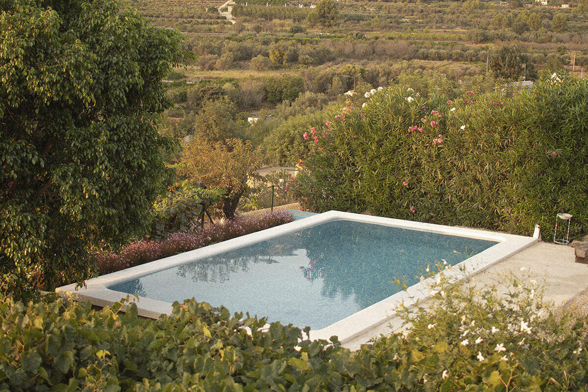 jardin avec piscine