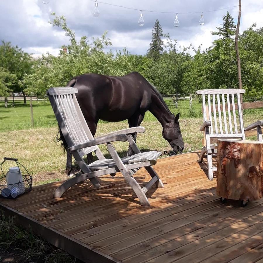 terrasse bois terrasse bois