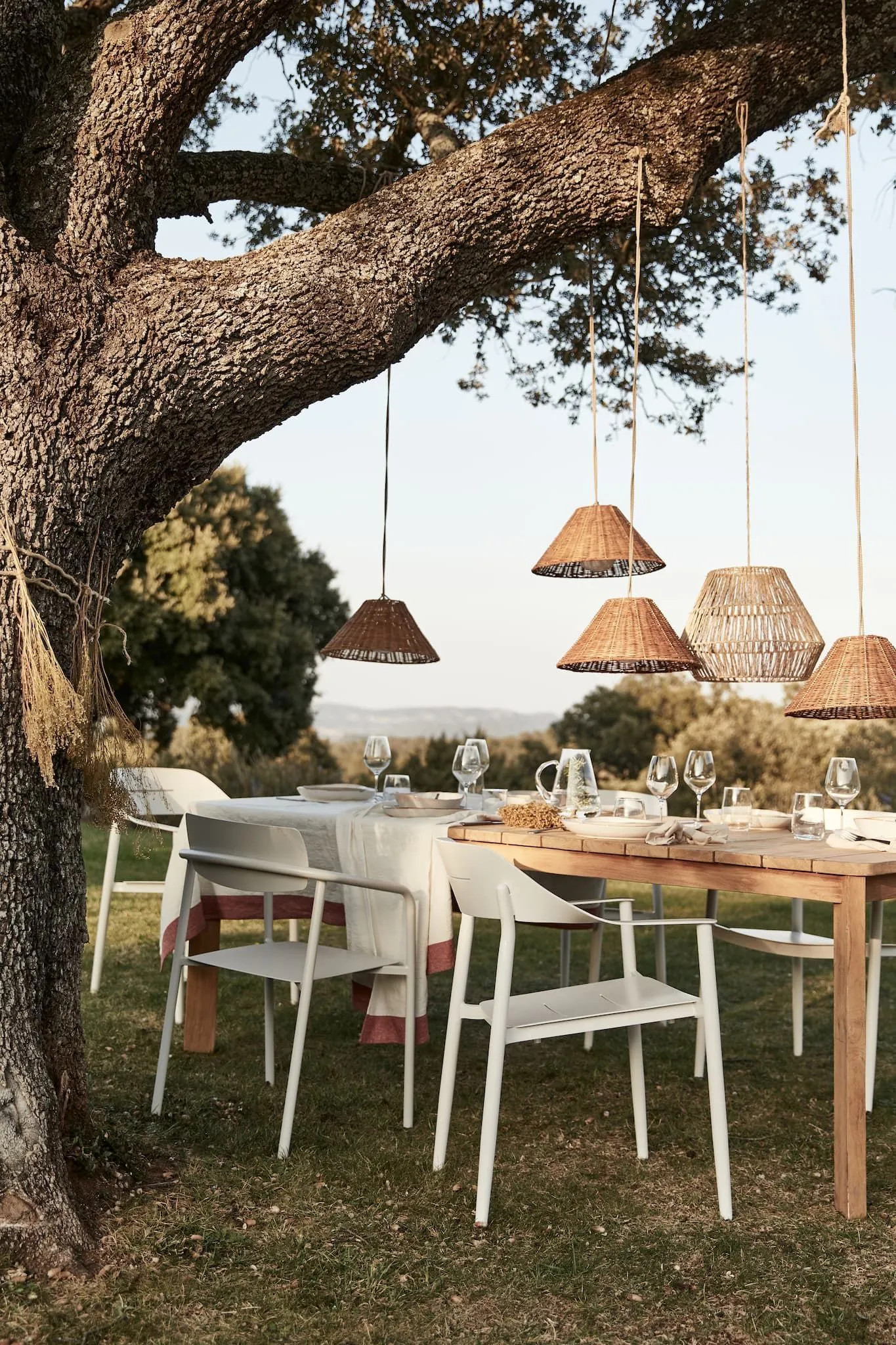 salle à manger d salle à manger d'été sous les arbres