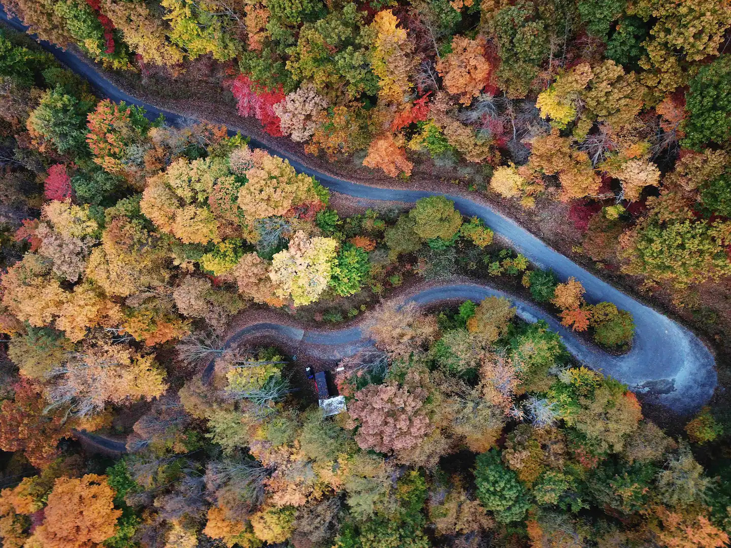 vue aérienne maison dans les bois