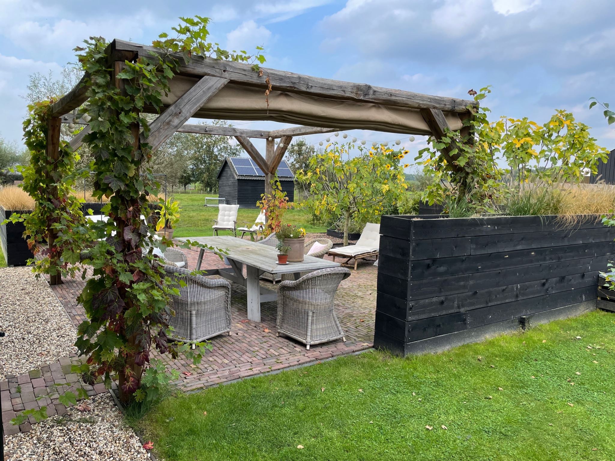 terrasse et pergola bois