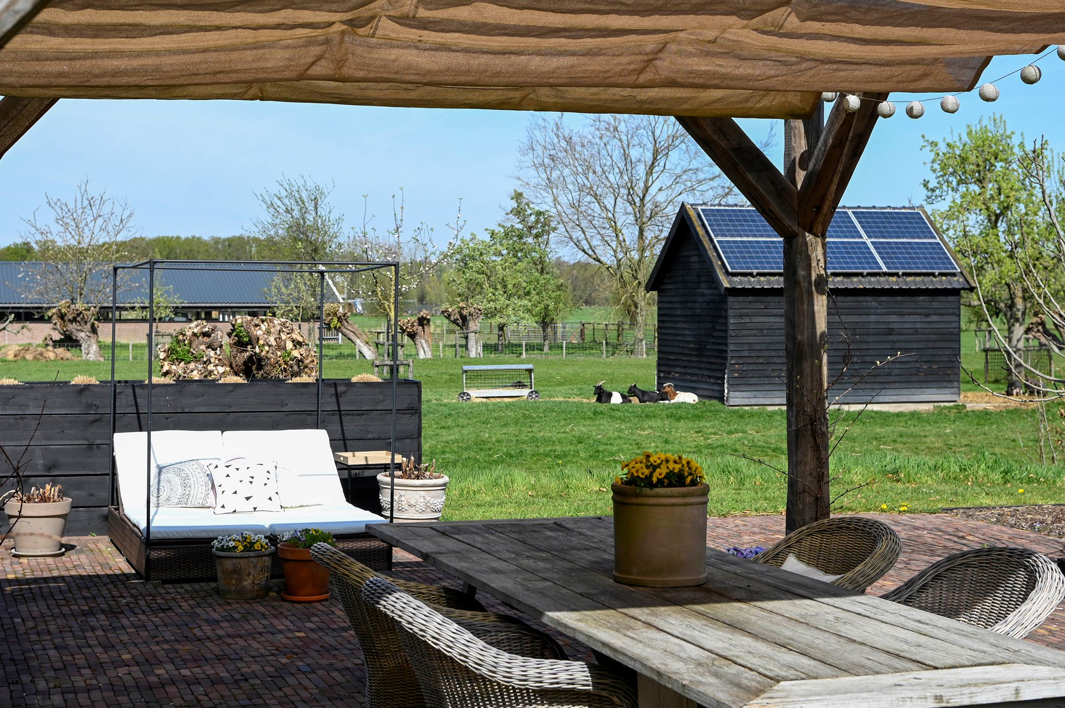 terrasse et pergola bois