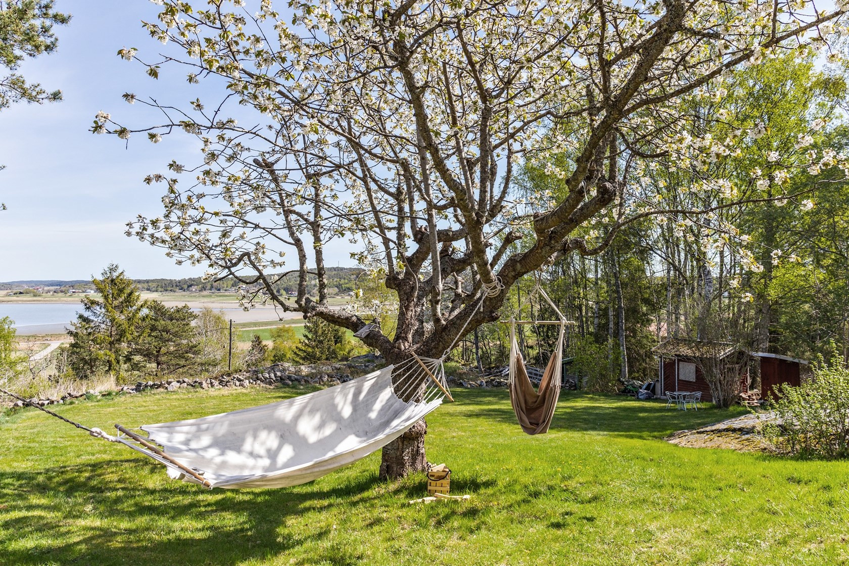 jardin avec hamac jardin avec hamac
