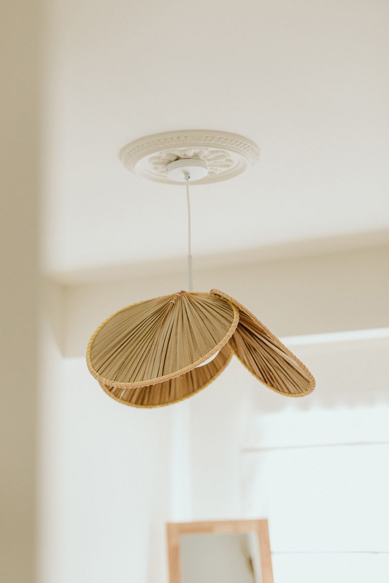 suspension palme