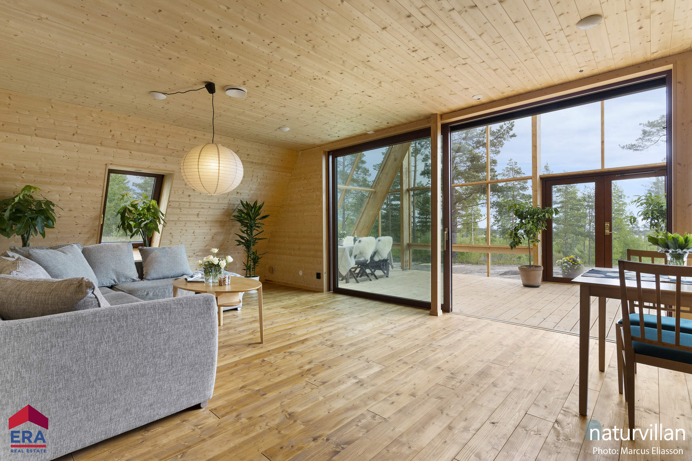 salon maison en bois