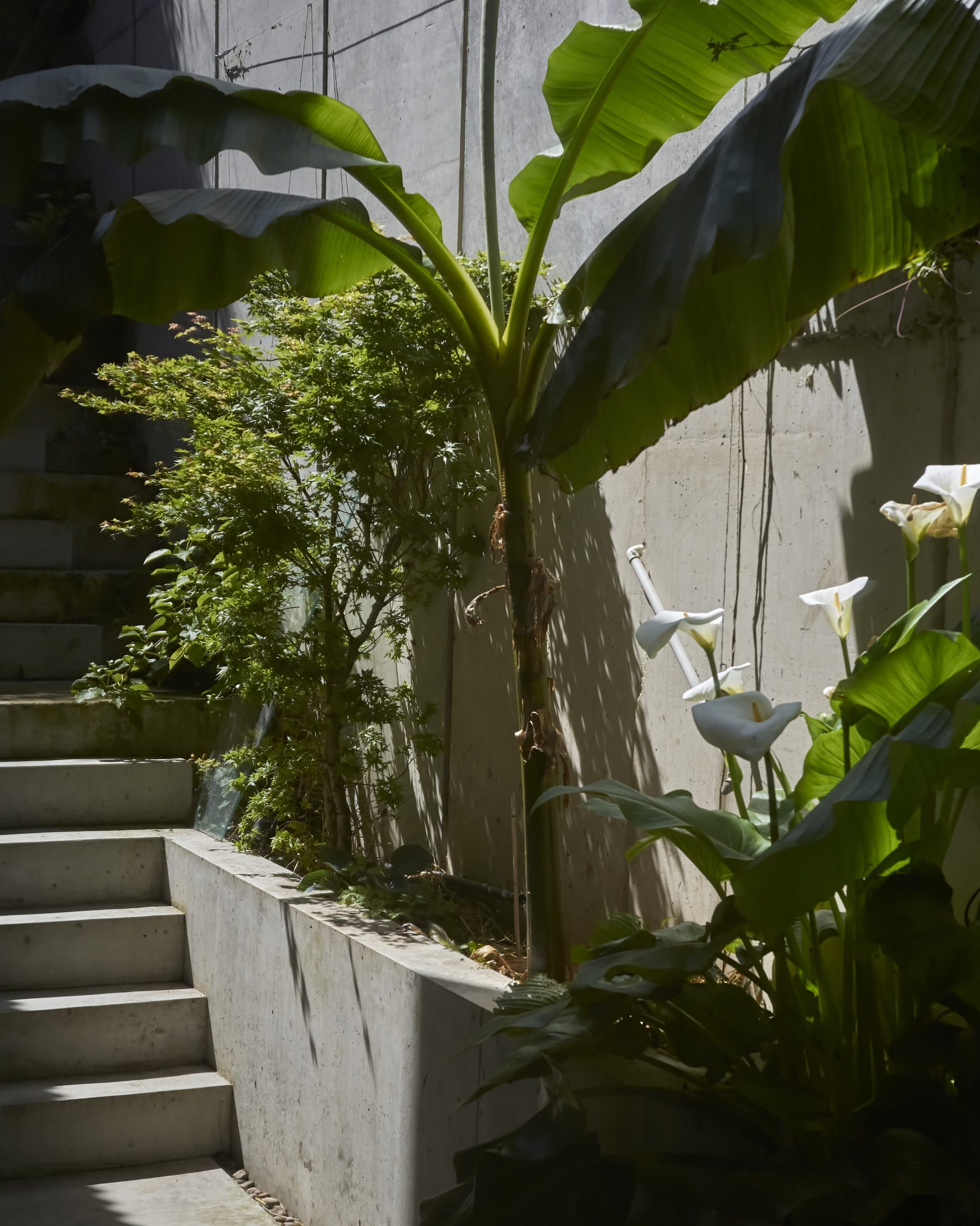 escalier béton dans jardin escalier béton dans jardin