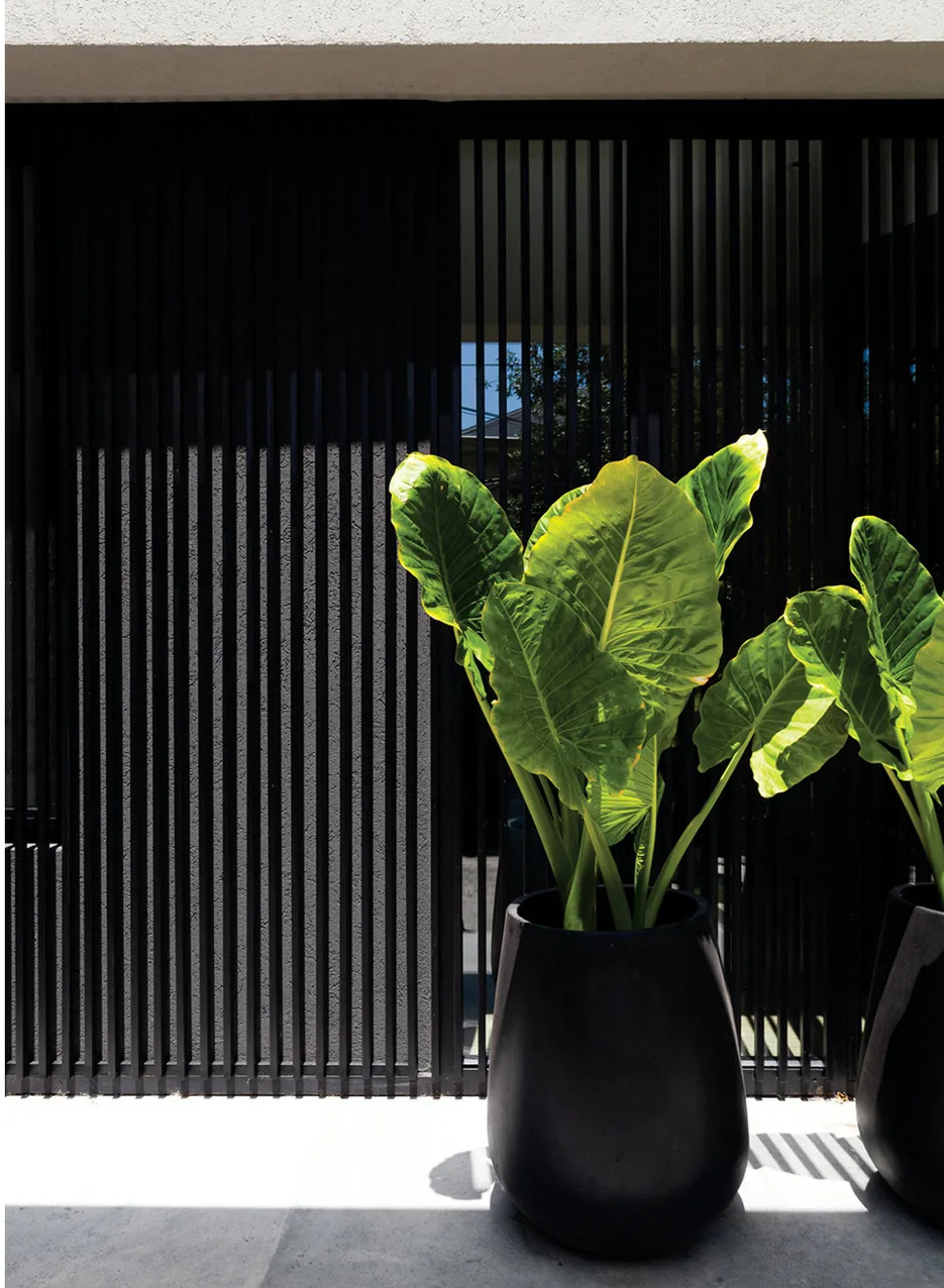 pots à plantes noir grand format pots à plantes noir grand format