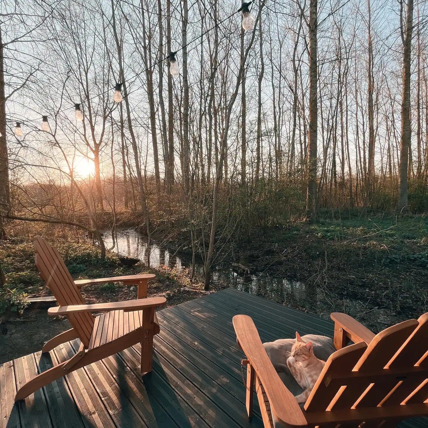 terrasse en bois terrasse en bois