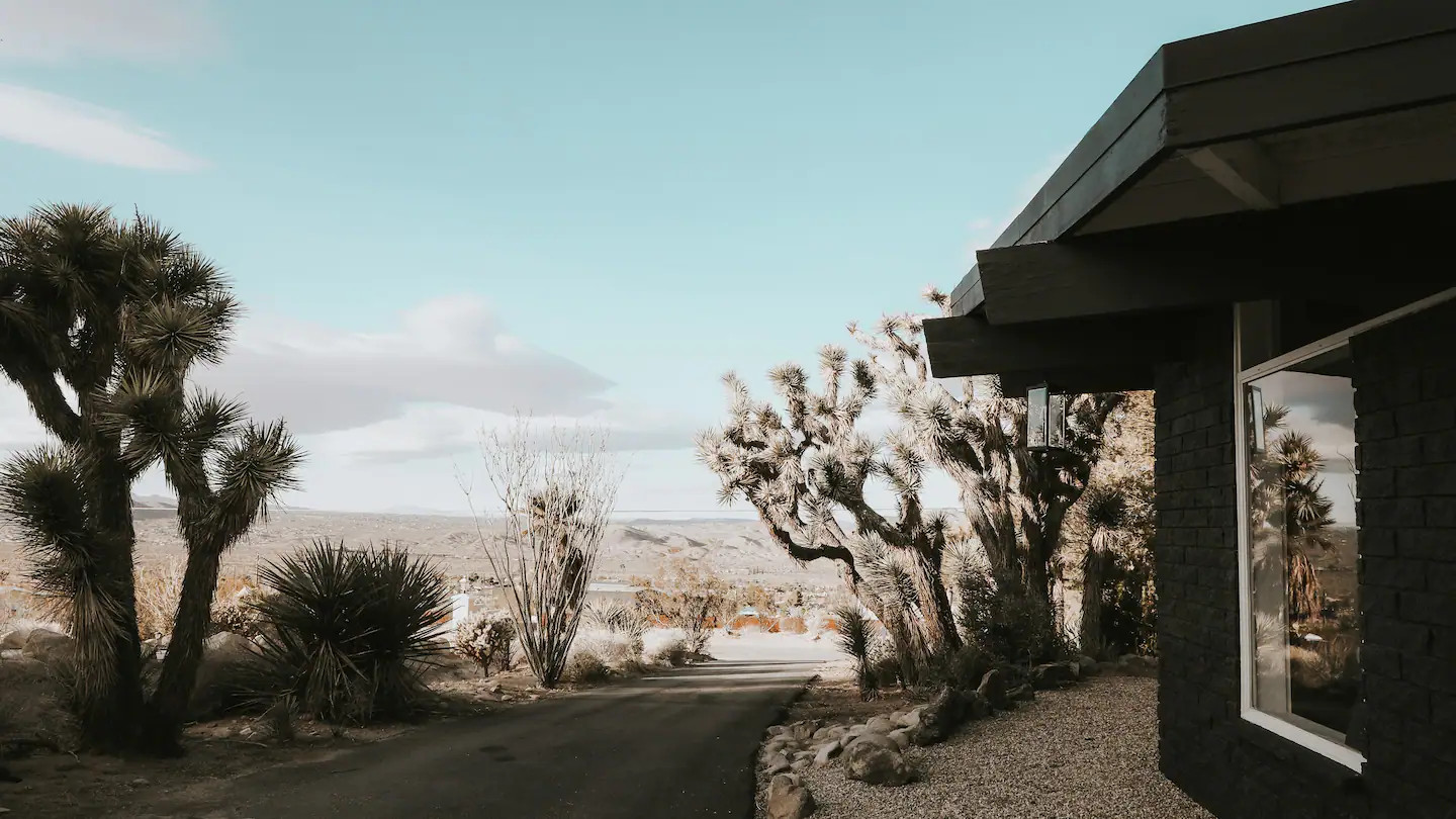 jardin maison Joshua Tree