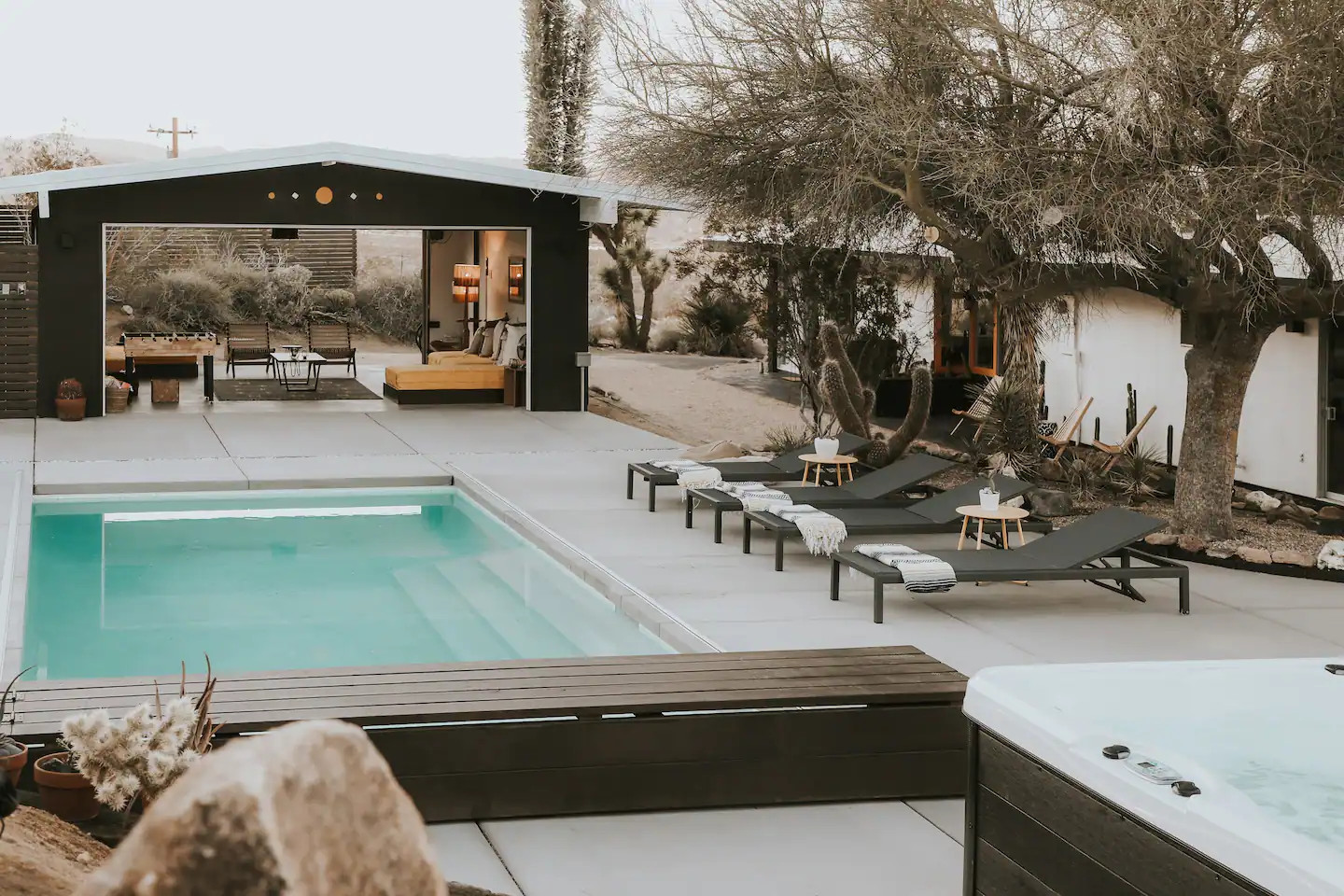 jardin avec piscine