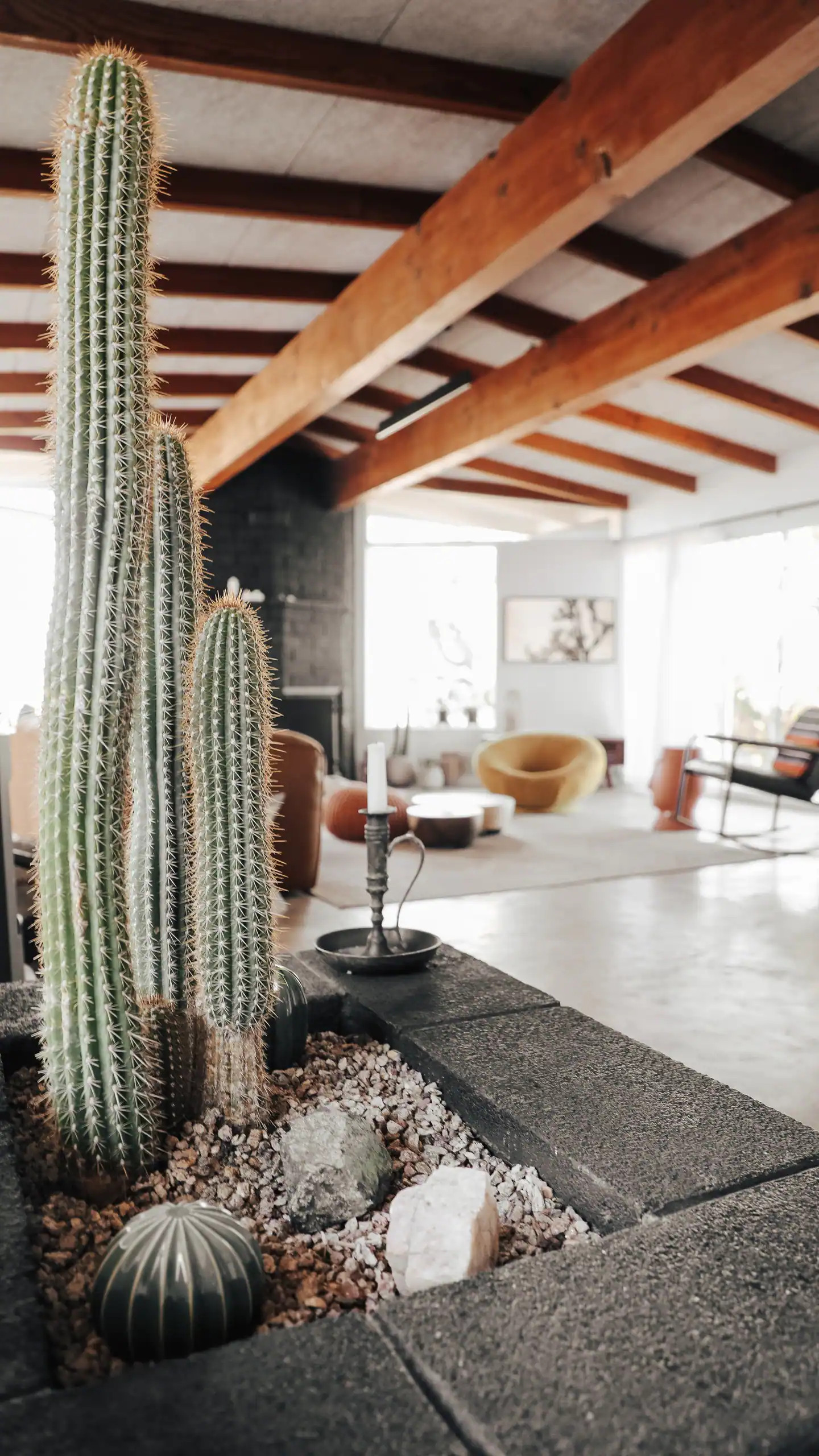 salon maison Joshua Tree