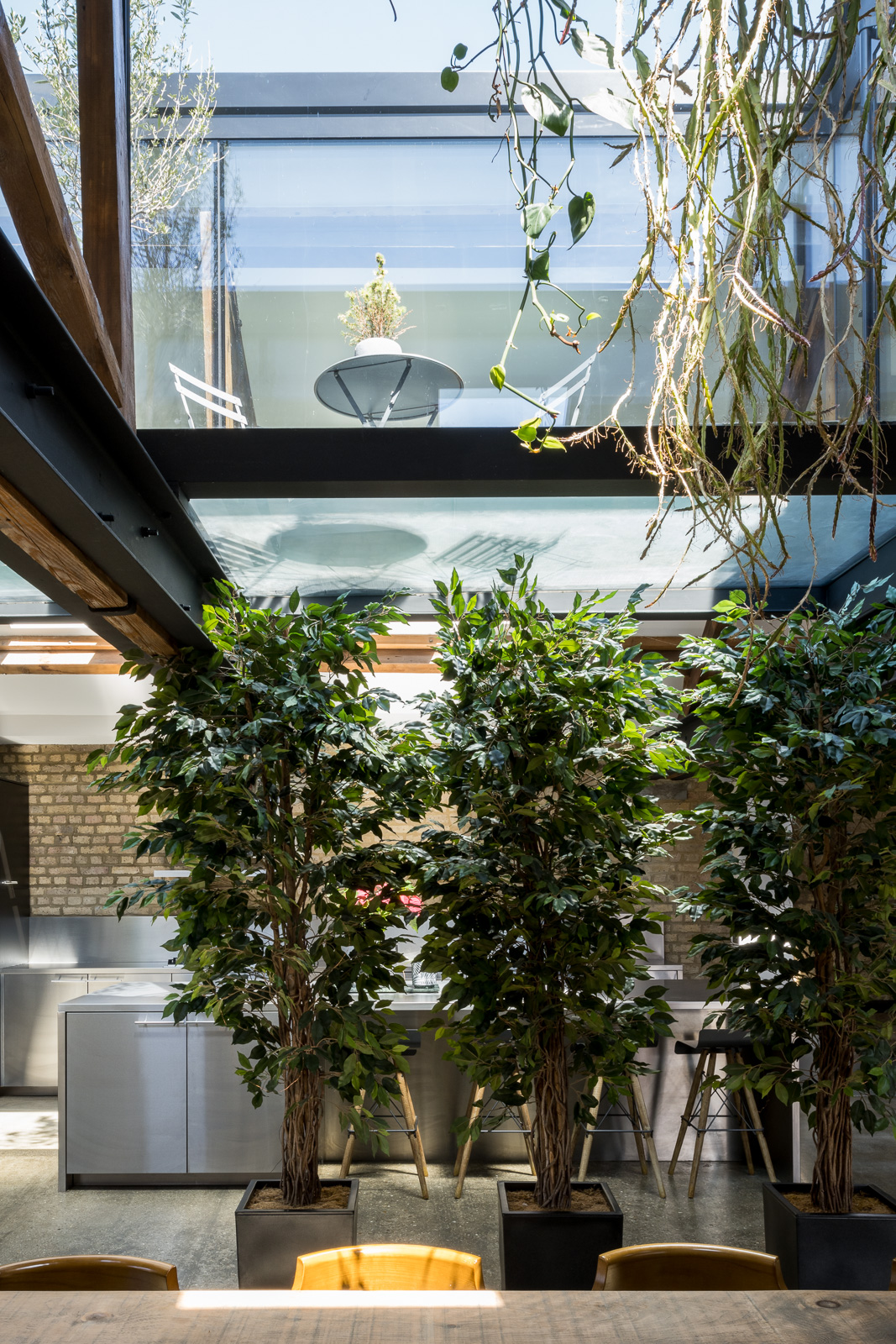 salon avec plantes salon avec plantes