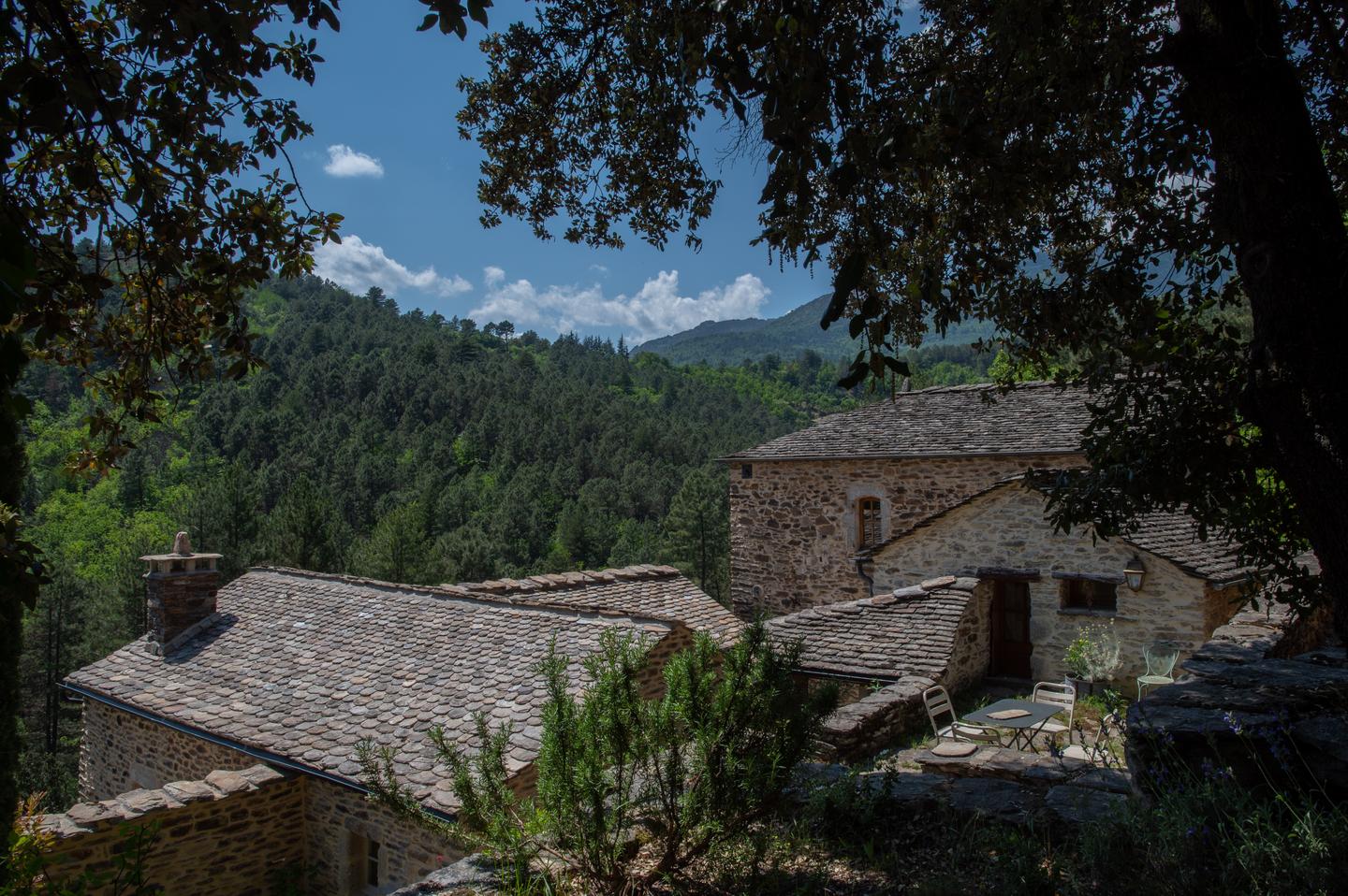le Mas les Vignes Cévennes