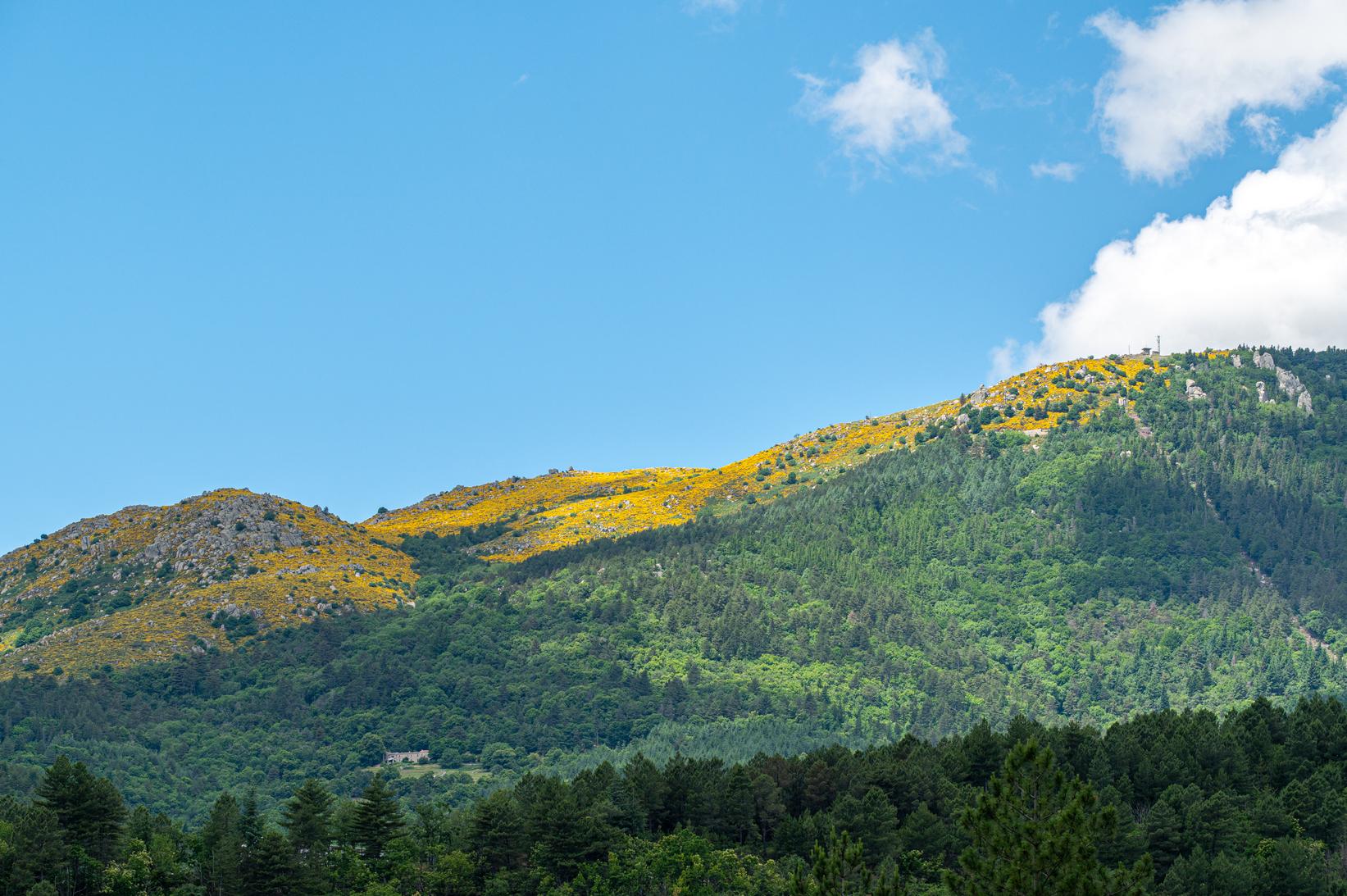 paysage Cévennes
