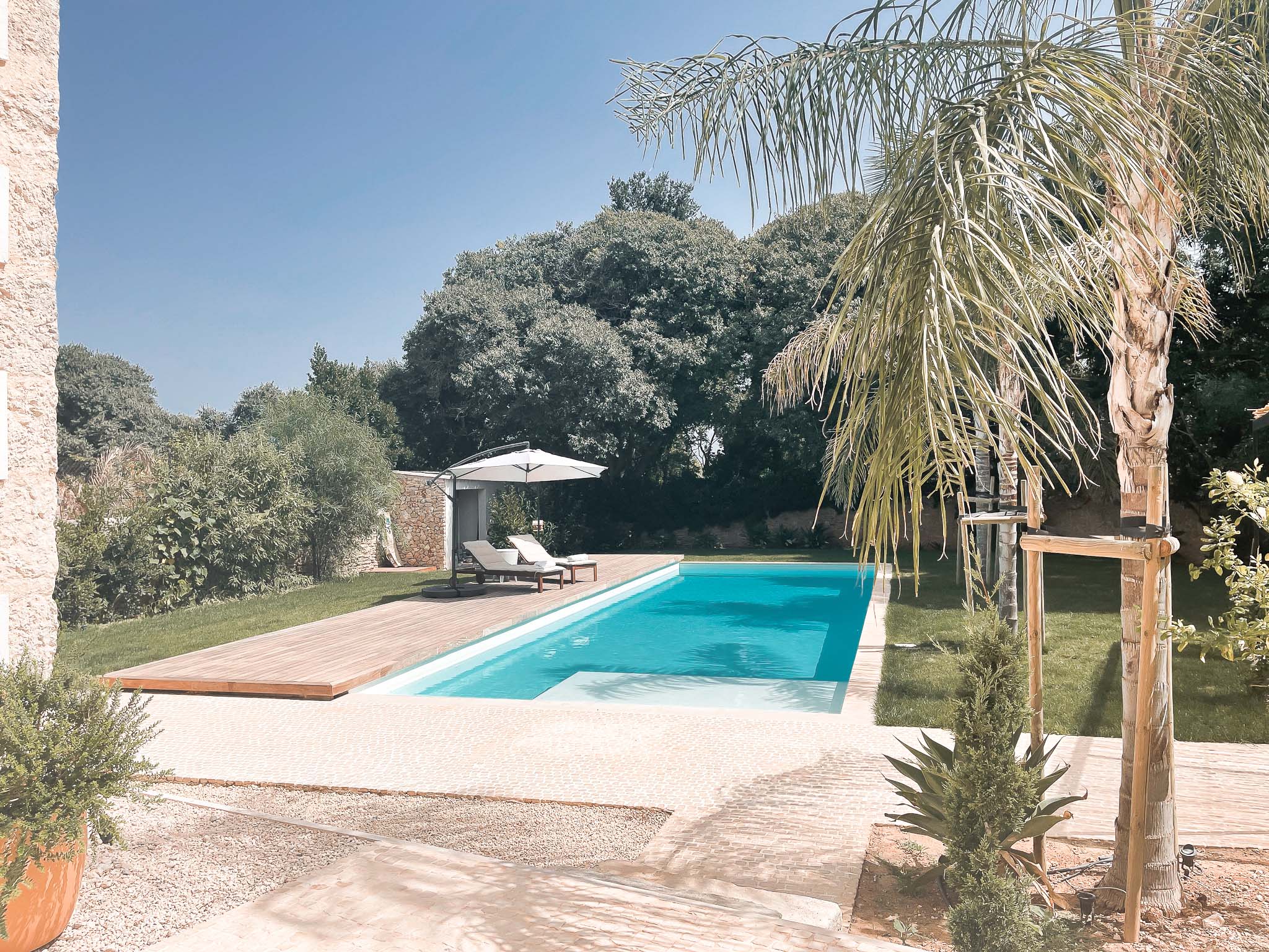 jardin avec piscine