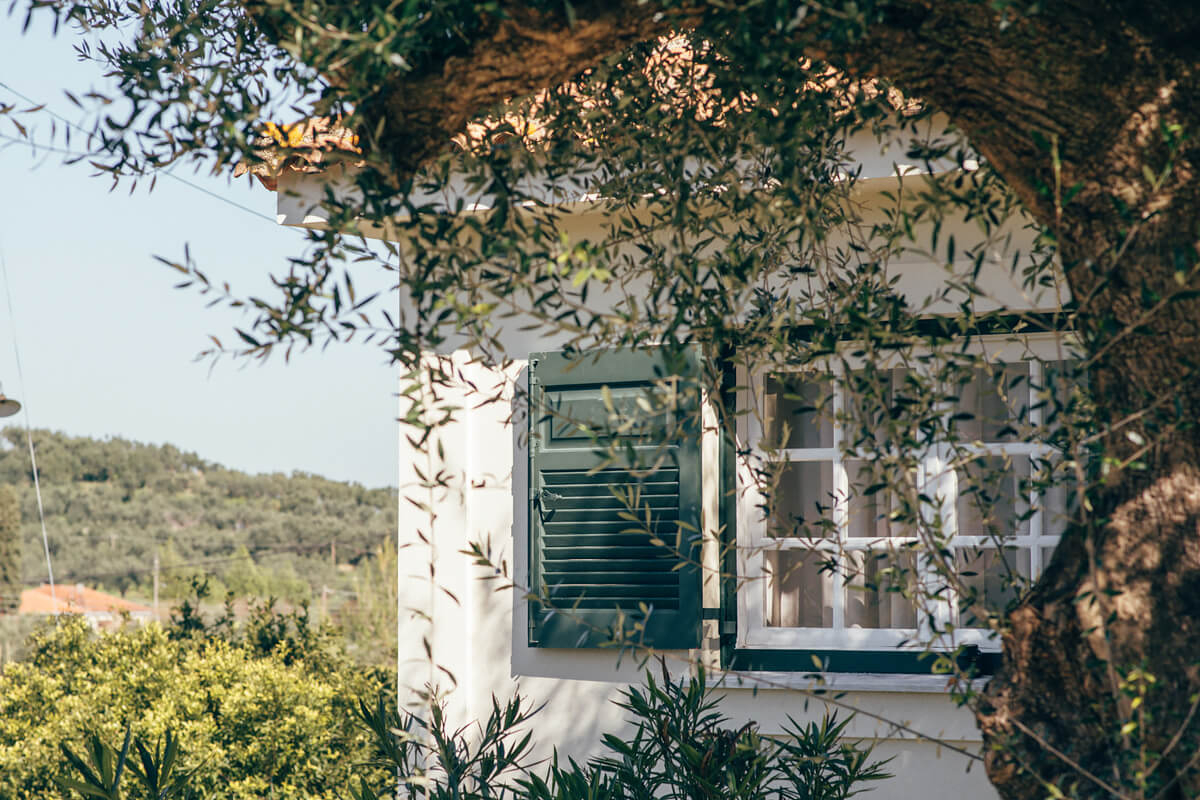 façade maison volets verts