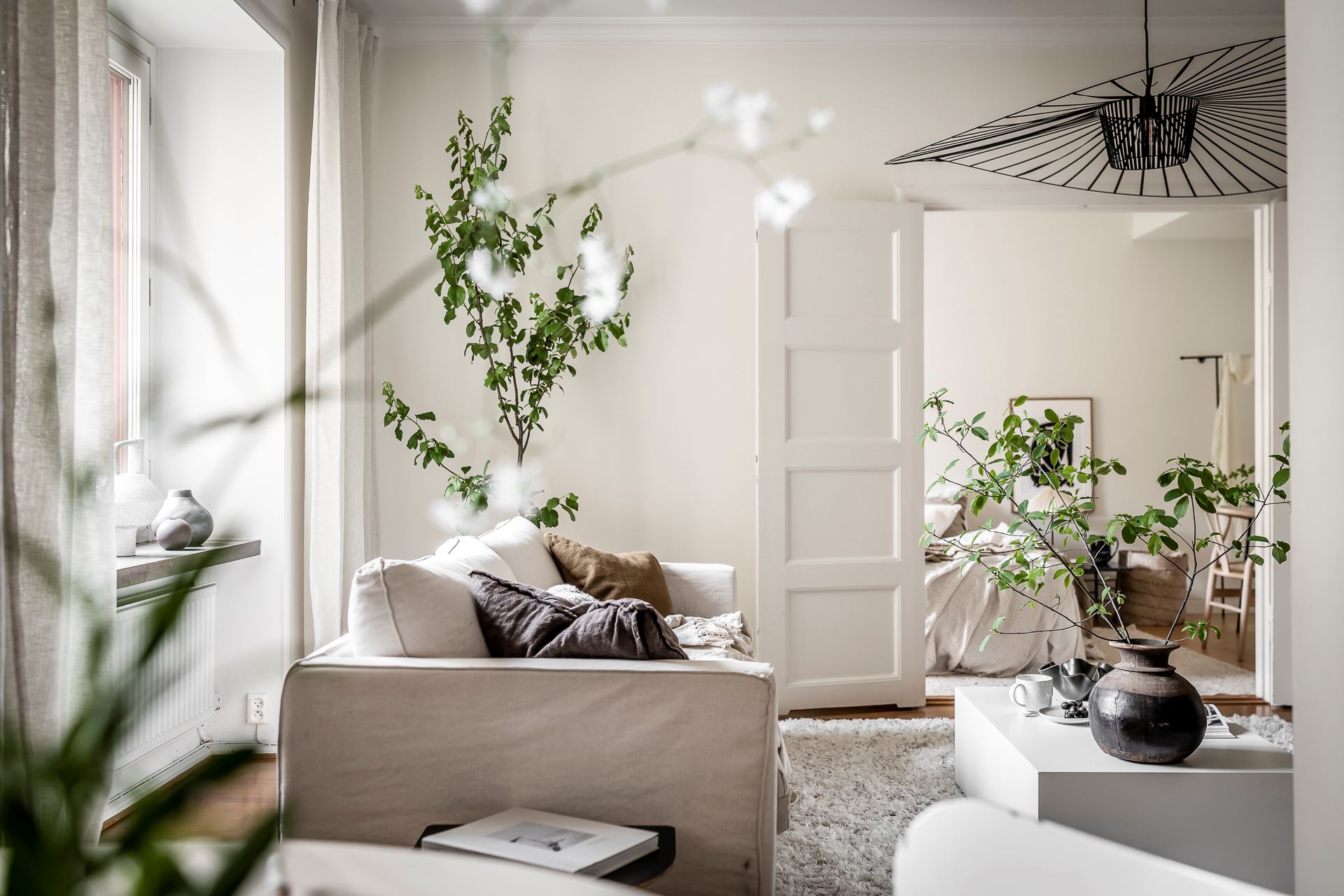 salon blanc décoration plantes vertes