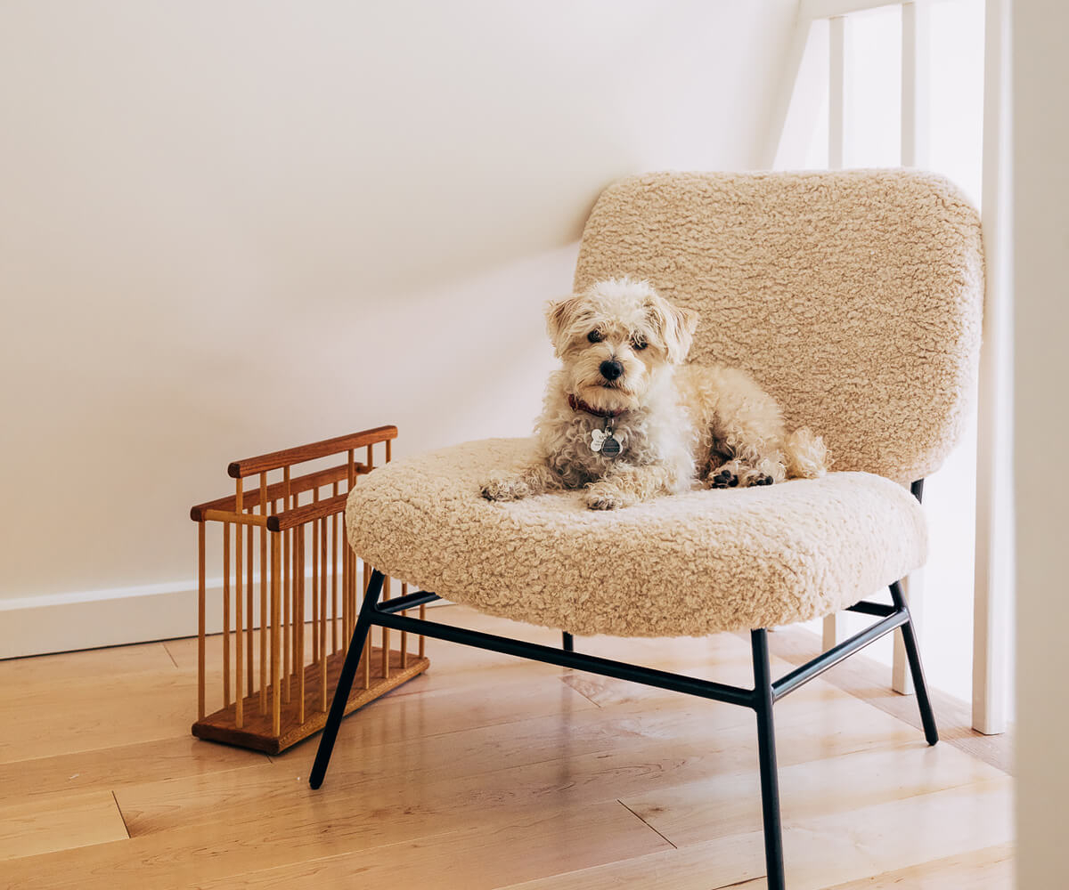 fauteuil bouclé fauteuil bouclé
