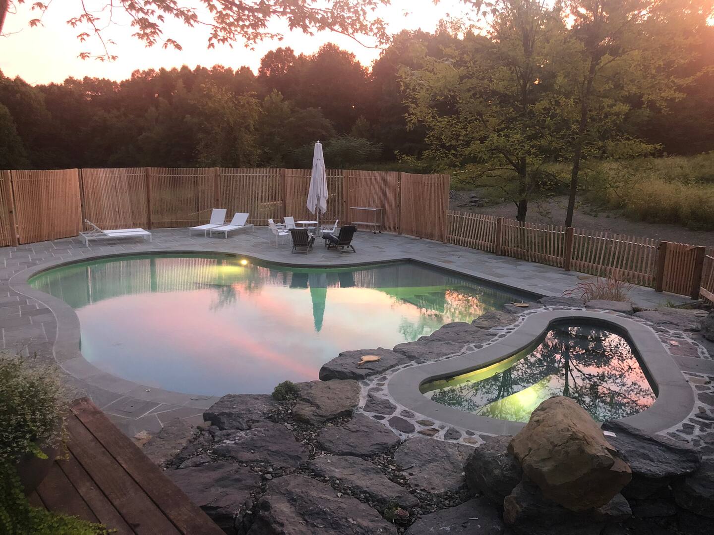 piscine haricot 