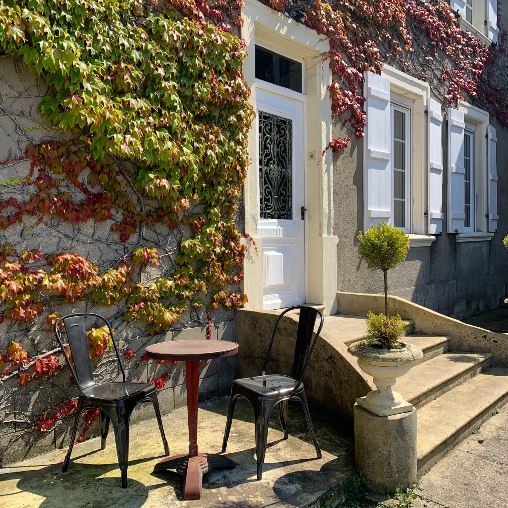 façade maison ancienne avec vigne vierge
