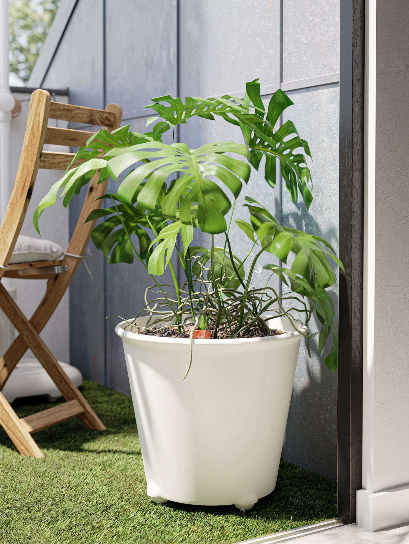 grande plante en pot sur balcon grande plante en pot sur balcon
