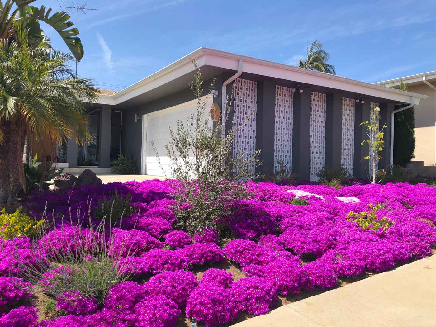 maison mid-century modernisée Los Angeles maison mid-century modernisée Los Angeles