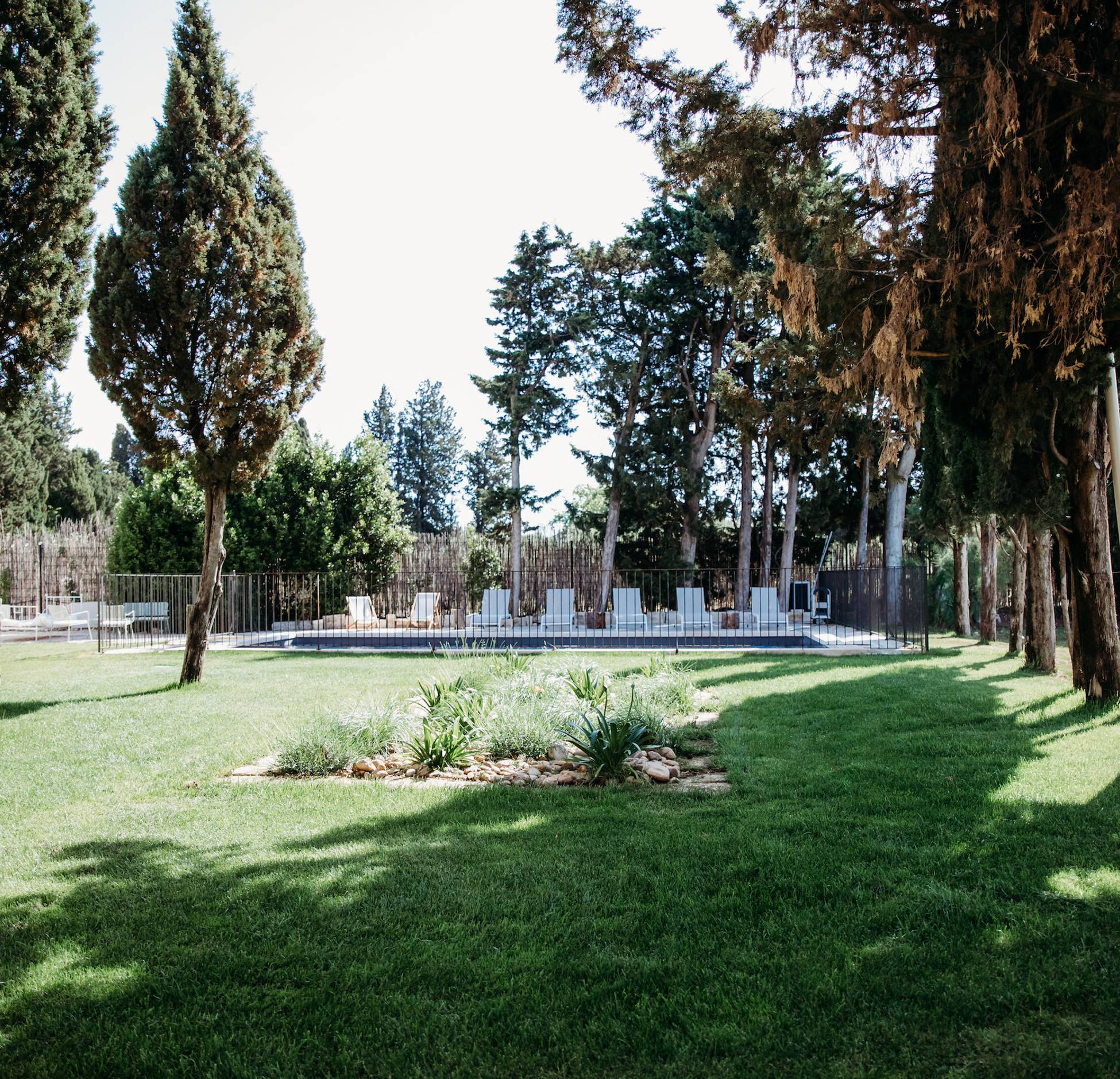 jardin avec piscine