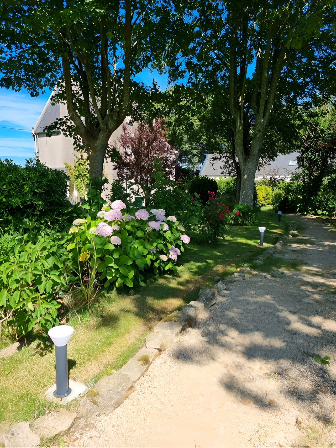 jardin maison ancienne en Bretagne avec hortensias jardin maison ancienne en Bretagne avec hortensias
