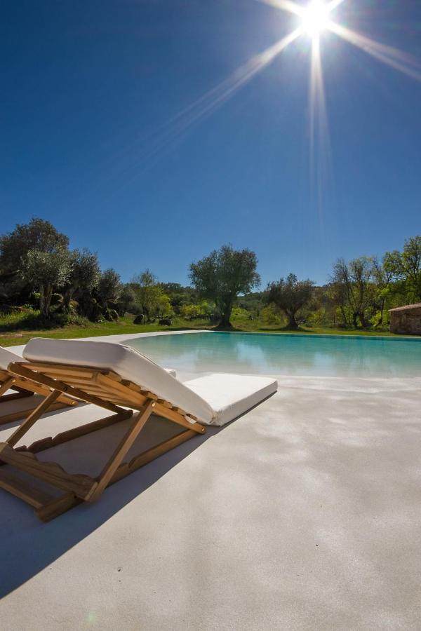 piscine avec plage piscine avec plage
