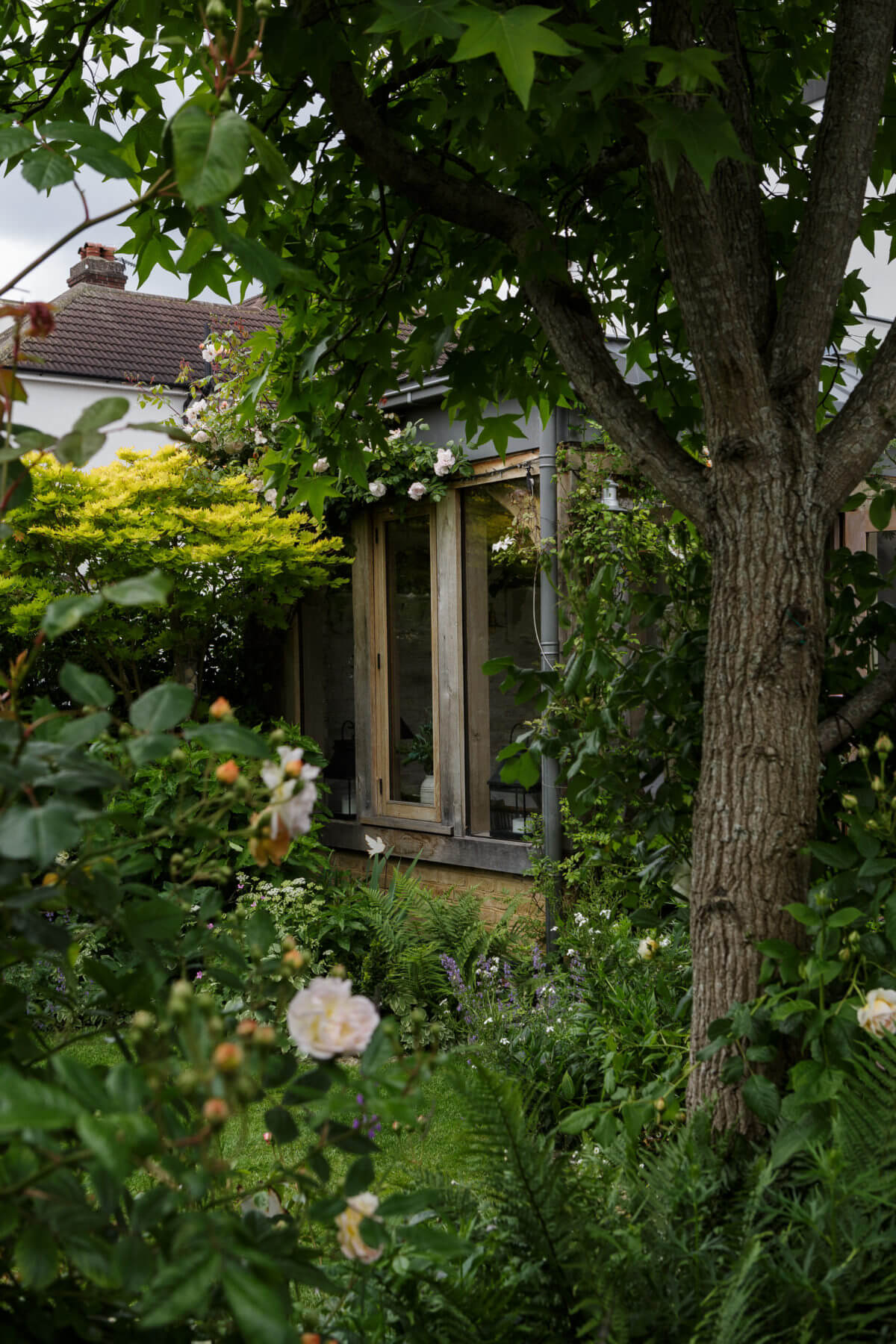 jardin verdoyant