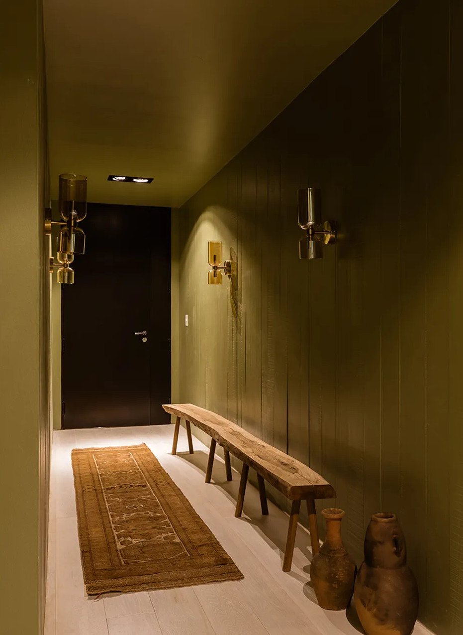 entrée mur et plafond vert décoration contemporaine