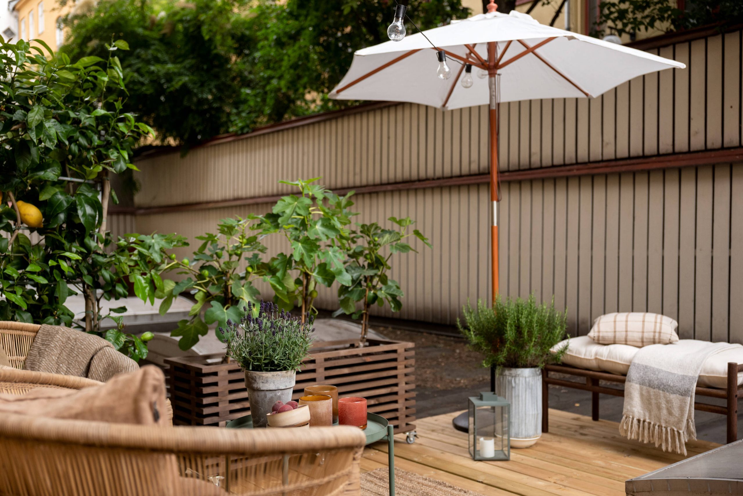 terrasse esprit du sud terrasse esprit du sud