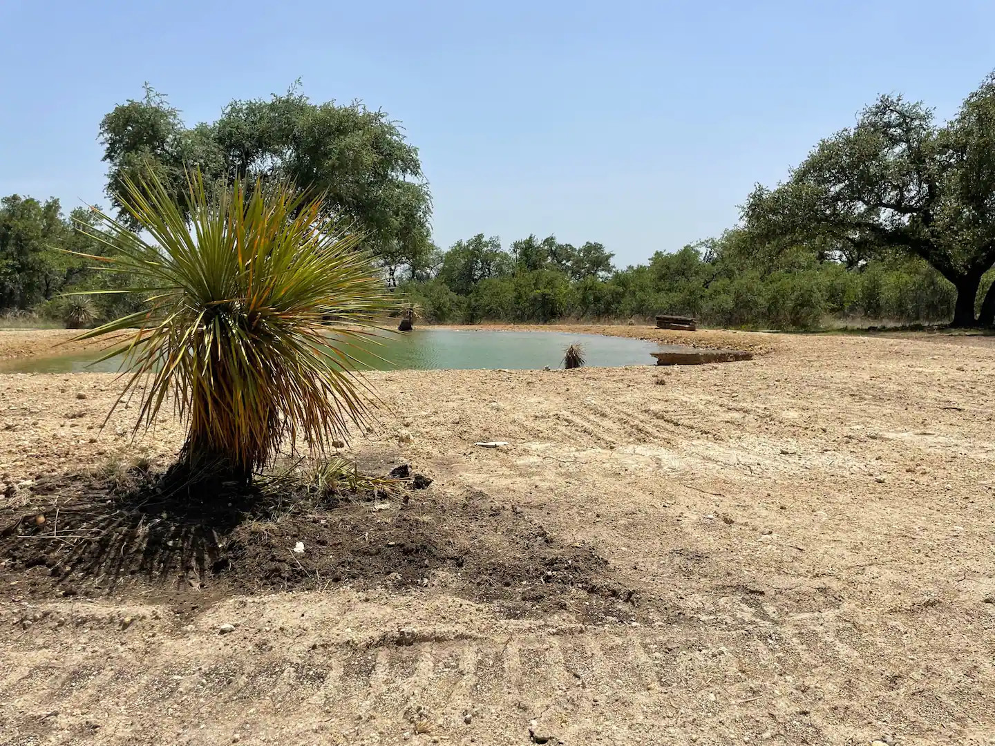 jardin avec baignade naturelle