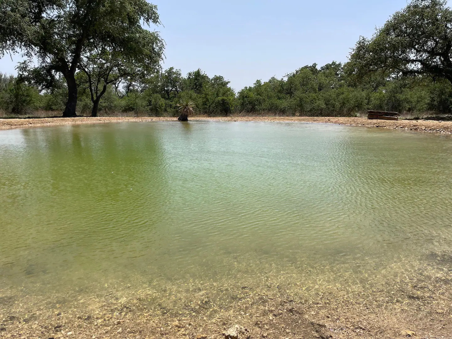 jardin avec baignade naturelle